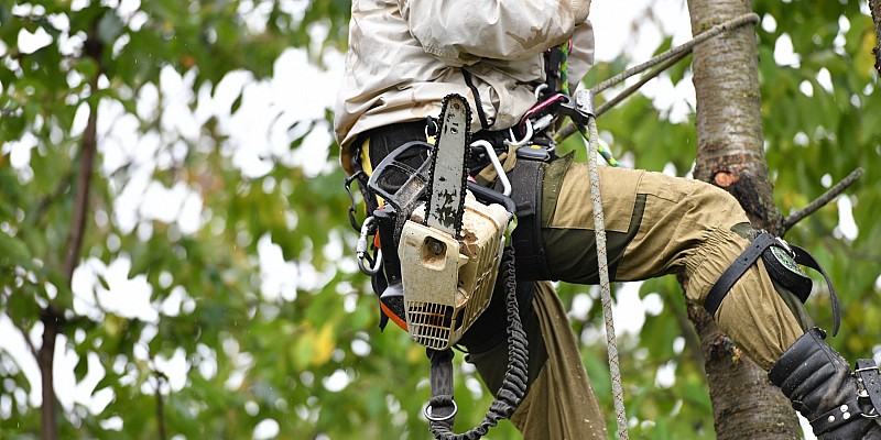 Bild zur Leistung 4, zeigt eine visuelle Darstellung des Service.